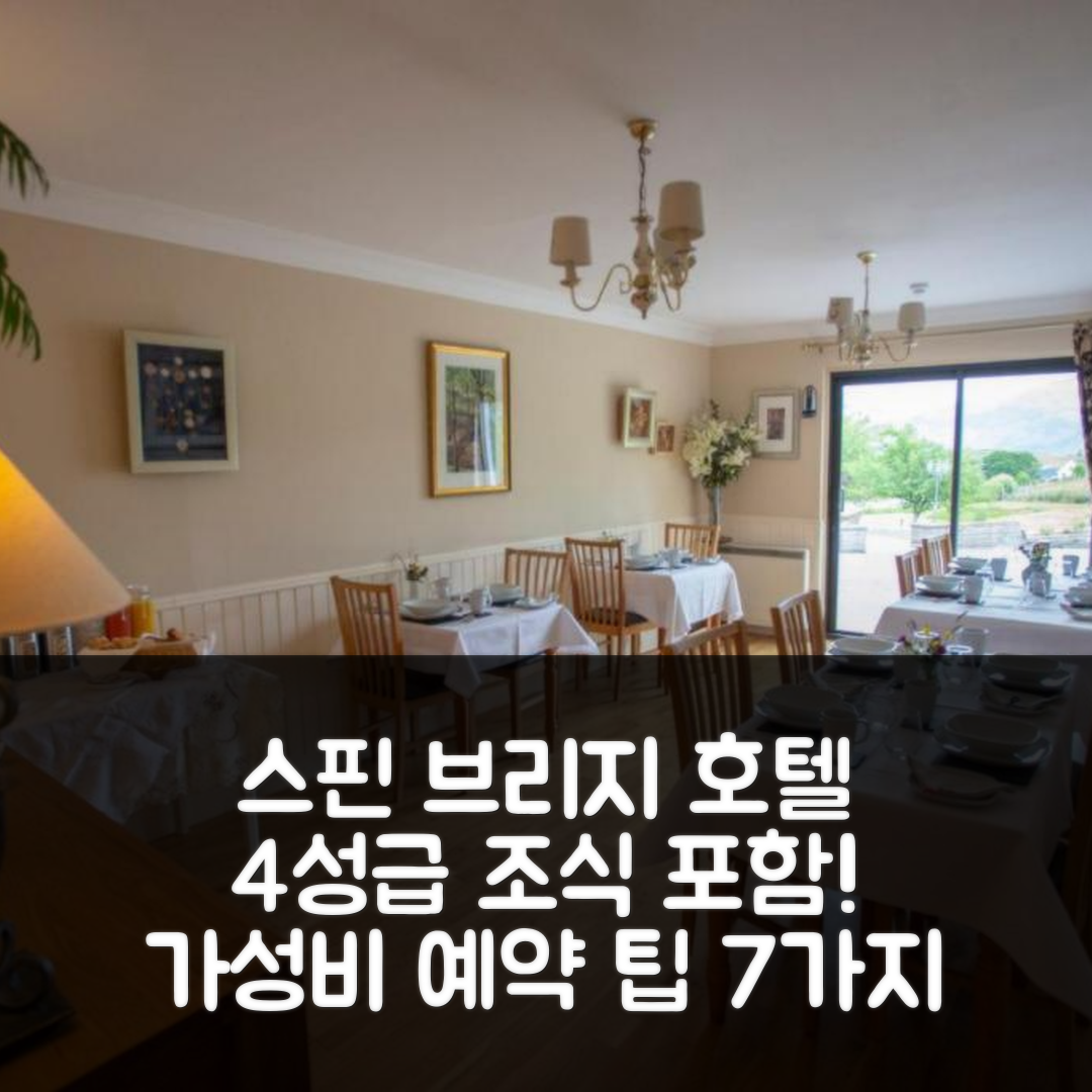 스핀 브리지 숙소 여행 호텔 추천 스프링번 팜하우스 | 4성급 조식과 가성비 좋은 예약 팁 7가지