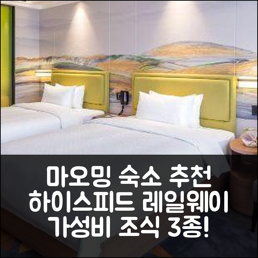 마오밍 숙소 여행 호텔 추천 하이스피드 레일웨이 스테이션 | 가성비 뛰어난 3가지 조식과 위치 정보