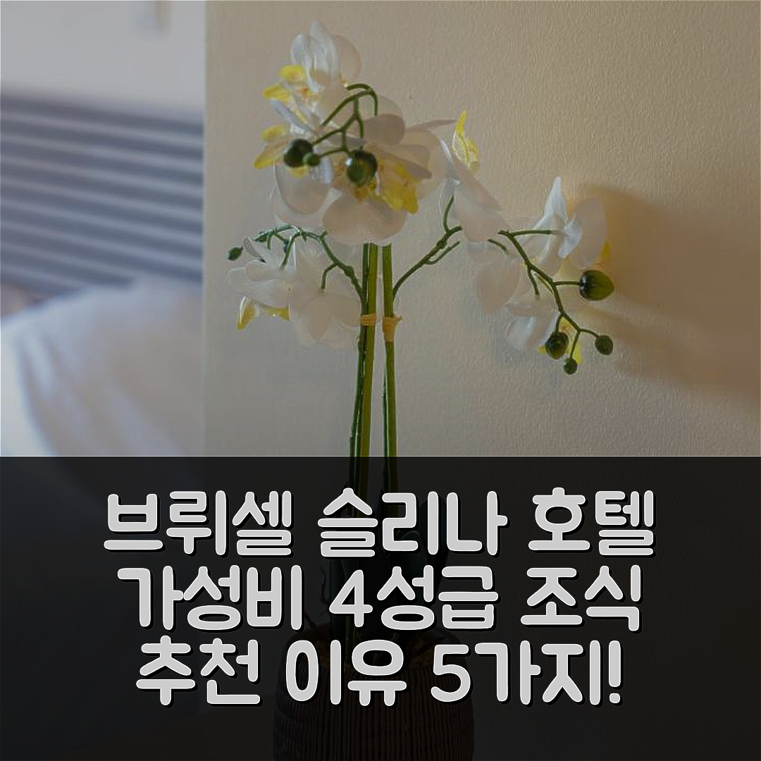 브뤼셀 숙소 여행 호텔 추천 슬리나 호텔 브뤼셀 | 4성급 조식과 가성비 좋은 위치의 5가지 이유