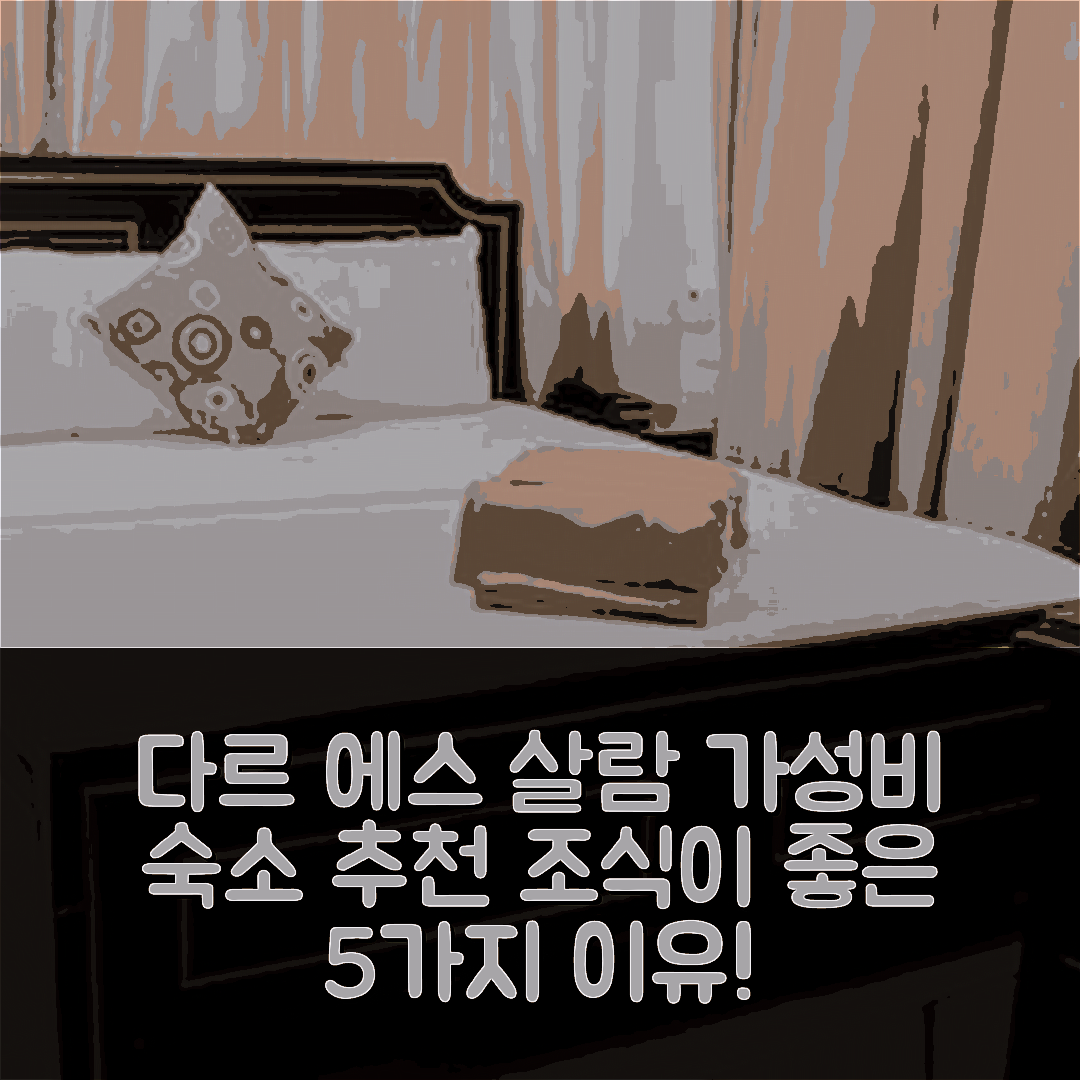 다르 에스 살람 숙소 여행 호텔 추천 슬립 인 호텔 카리아쿠 | 가성비와 조식이 좋은 5가지 이유
