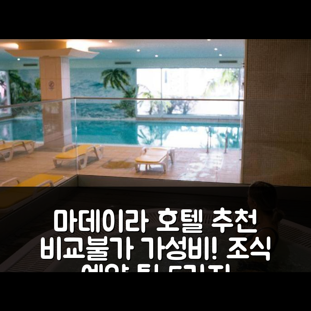 마데이라 섬 숙소 여행 호텔 추천 에스튜디오 비스타 마르 트리플 | 가성비와 조식이 뛰어난 3성급 위치와 예약 팁 5가지