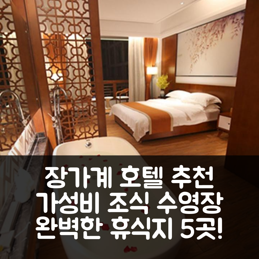 장가계 숙소 여행 호텔 추천 올 시즌 로지 | 가성비 최고 조식과 수영장으로 완벽한 휴식지 5가지 팁