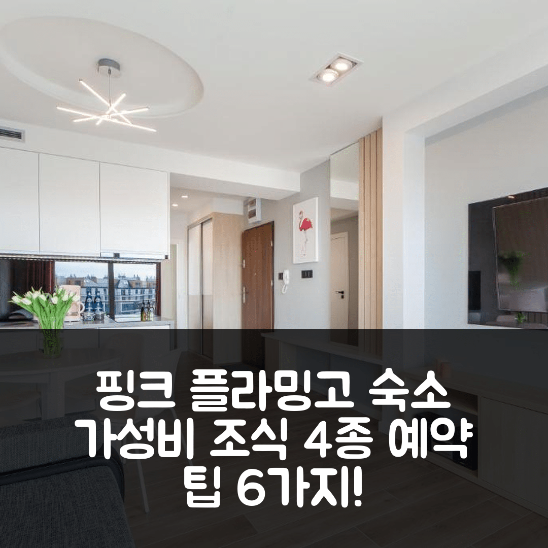 미엥지즈드로예 숙소 여행 호텔 추천 아파트 핑크 플라밍고 | 가성비 좋은 조식 4가지와 예약 팁 6가지