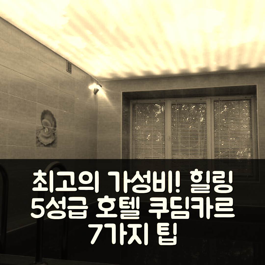 쿠딤카르 숙소 여행 호텔 추천 바기라 호텔 | 가성비와 조식이 뛰어난 5성급 힐링 공간 7가지 팁