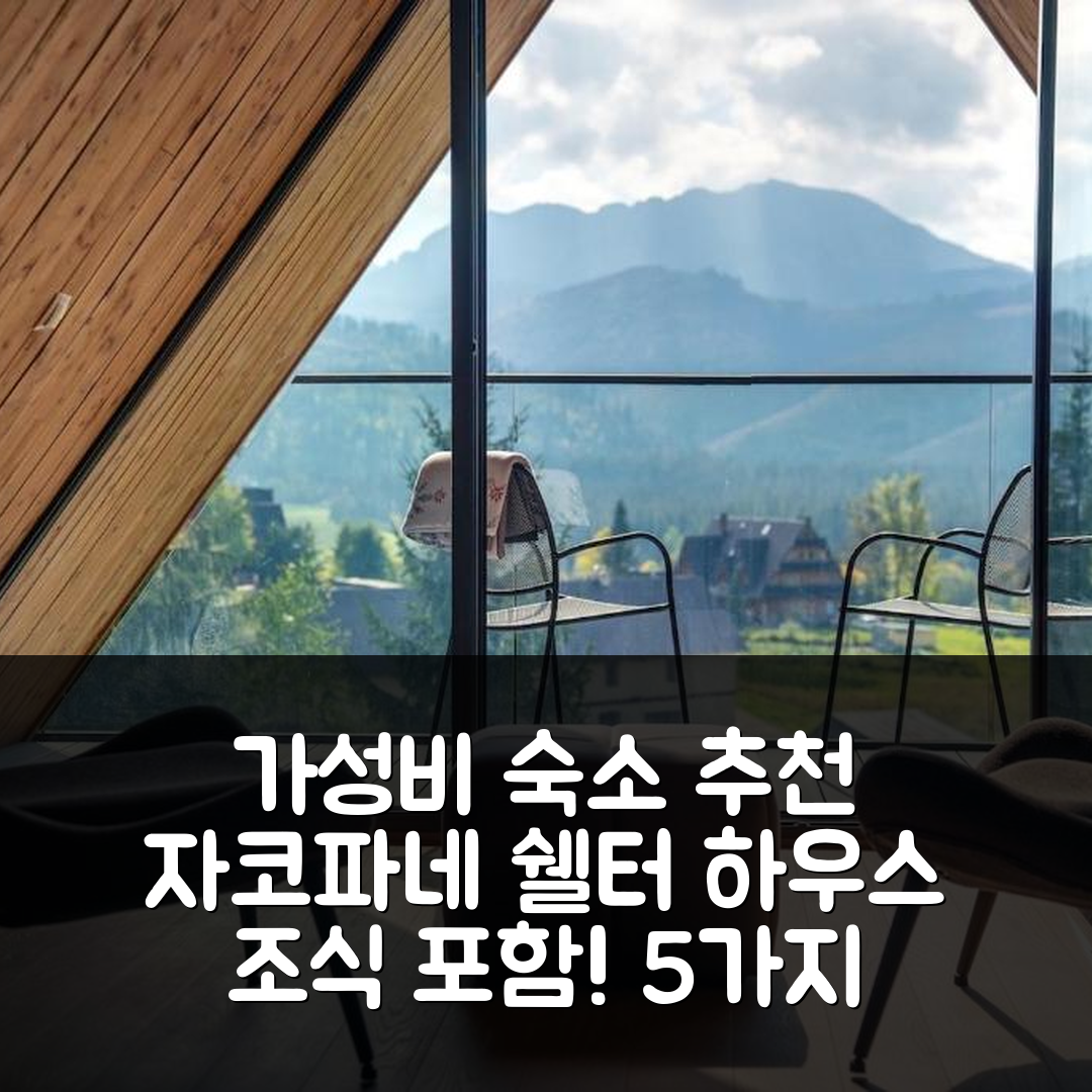 자코파네 숙소 여행 호텔 추천 쉘터 하우스 코시엘리스코 | 위치 좋고 가성비 최고의 조식 포함 5가지 이유