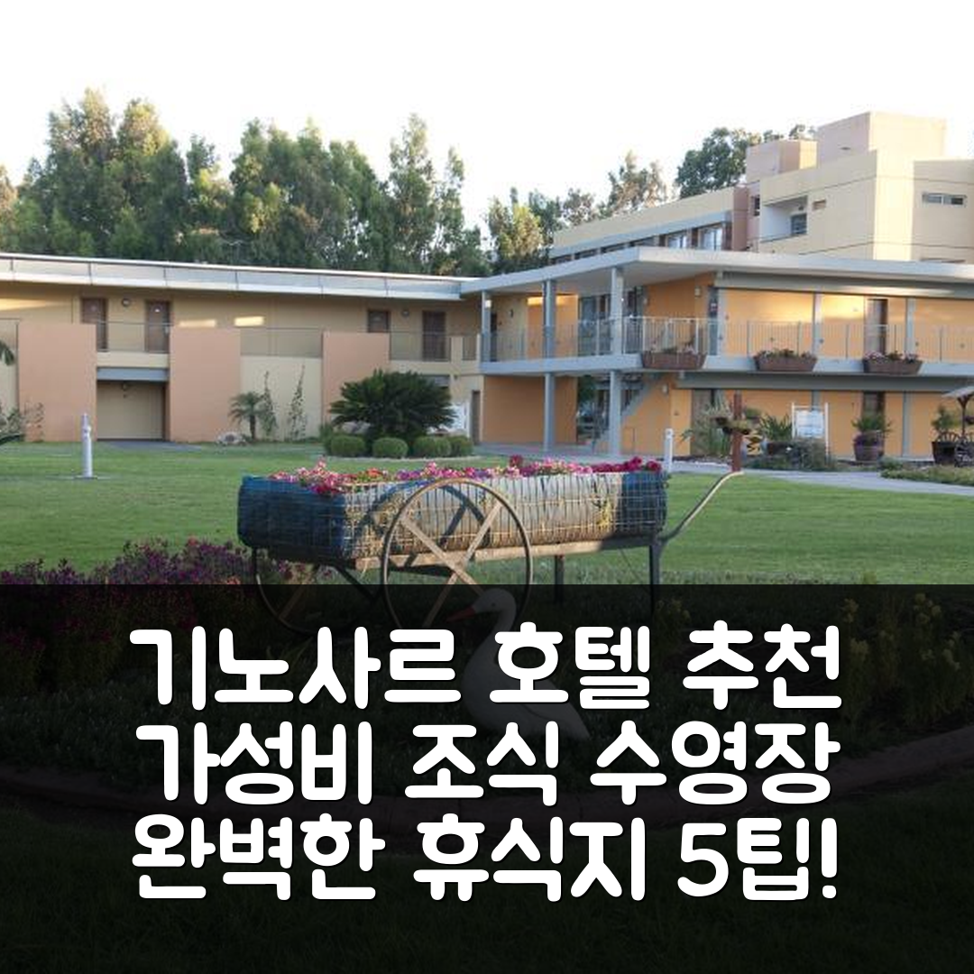기노사르 숙소 여행 호텔 추천 노프 기노사르 키부츠 호텔 | 가성비 뛰어난 조식과 수영장으로 완벽한 휴식지 5가지 팁