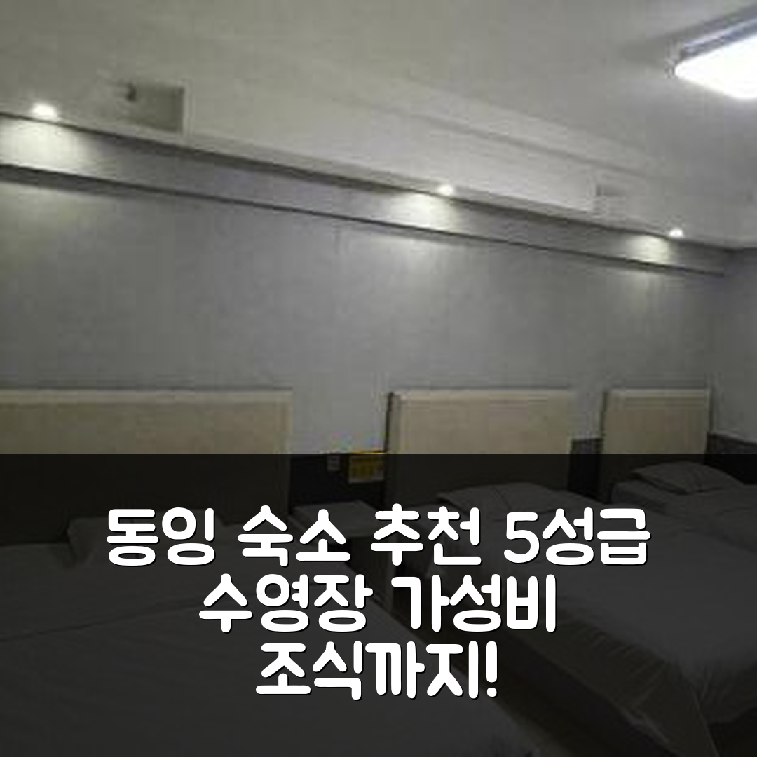둥잉 숙소 여행 호텔 추천 동잉 완다 플라자 스토어 | 가성비 뛰어난 조식과 5성급 수영장 정보 7가지