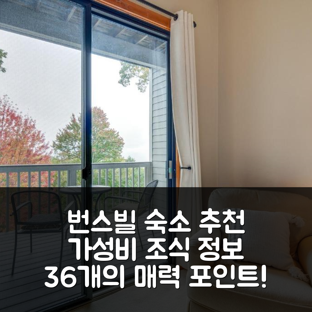 번스빌 숙소 여행 호텔 추천 36 미 투 애쉬빌 마운트 뷰 홈 | 가성비 좋은 위치와 조식 정보 5가지