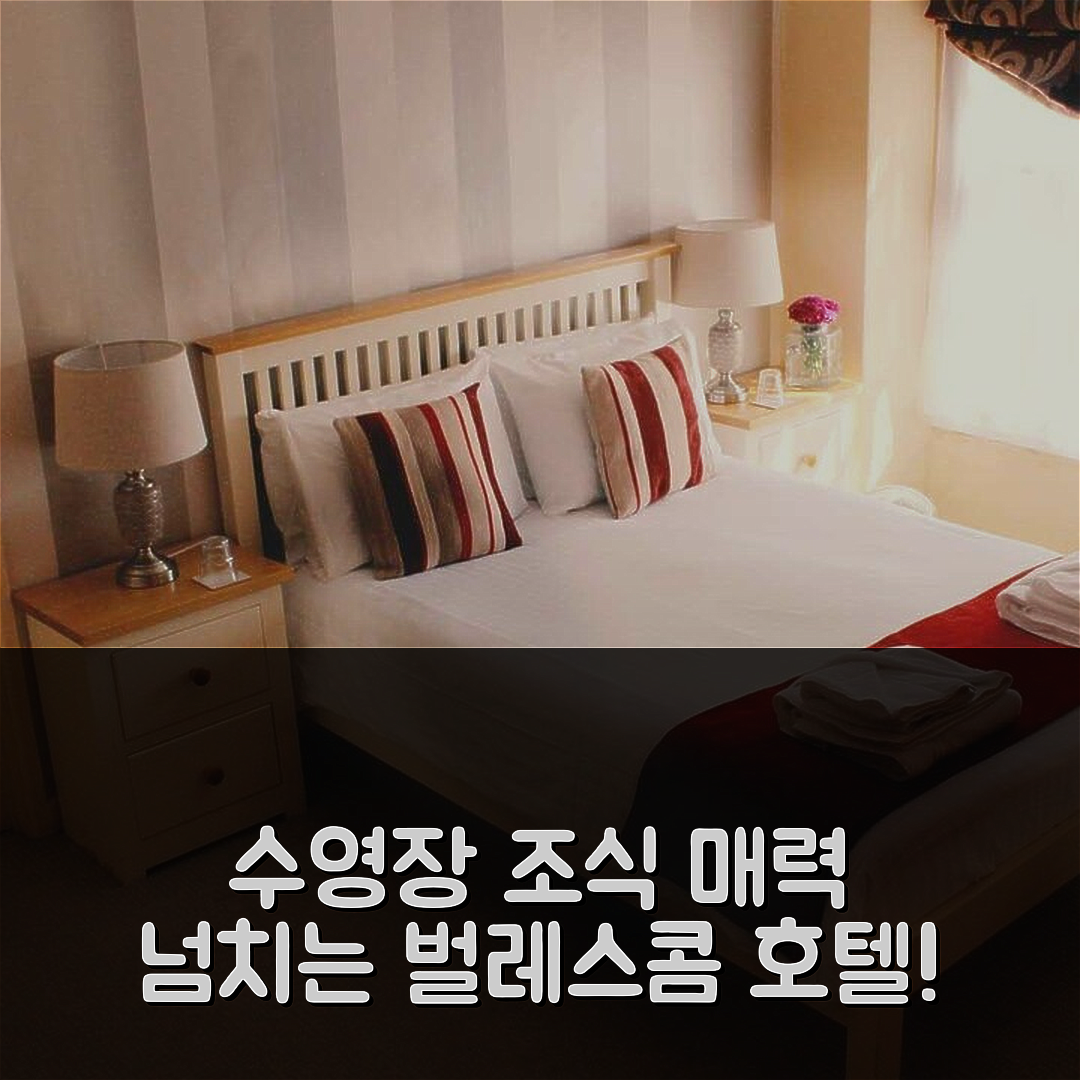 벌레스콤 숙소 여행 호텔 추천 더 블로브 인 | 수영장과 조식이 매력적인 5가지 이유