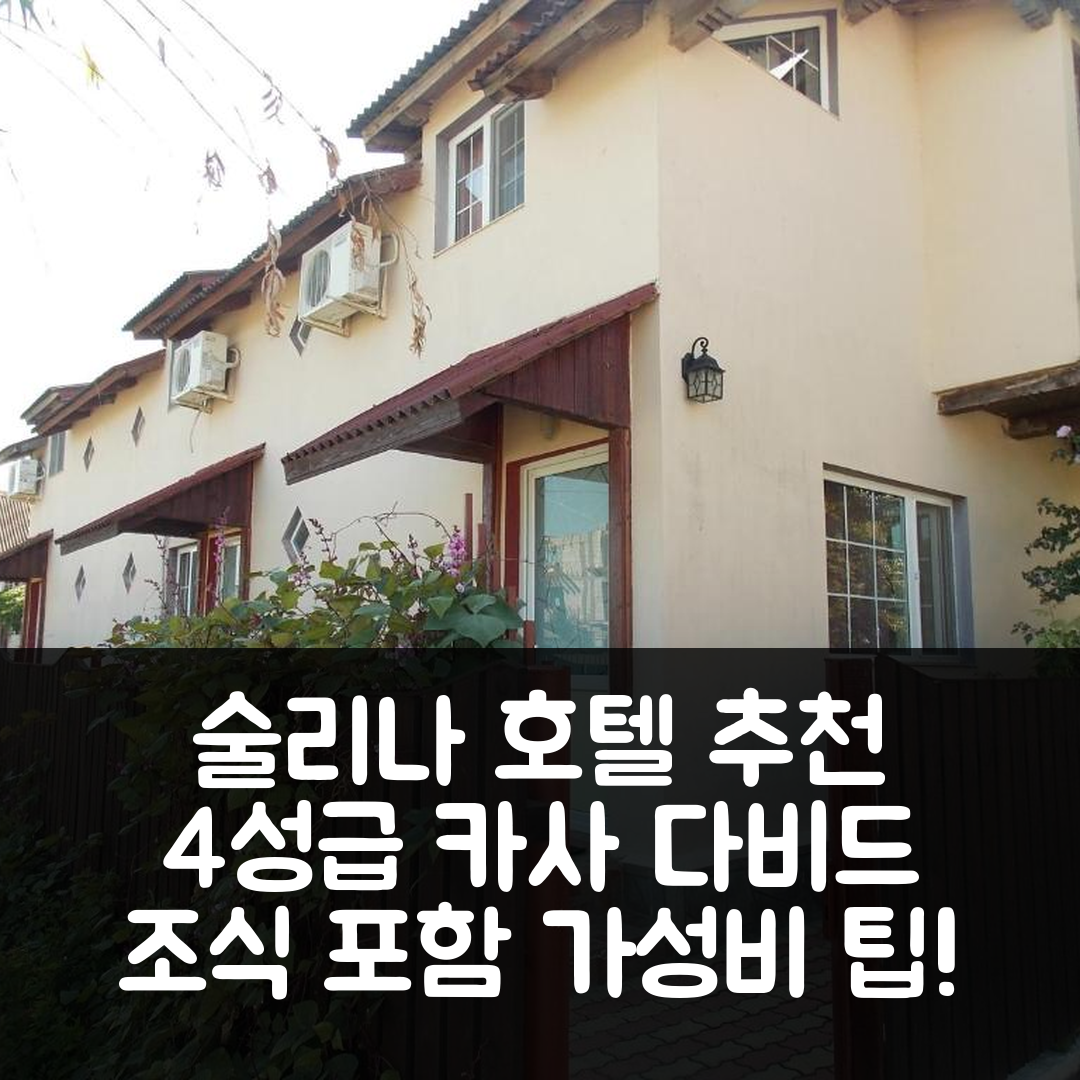 술리나 숙소 여행 호텔 추천 카사 다비드 | 4성급 조식과 가성비 좋은 예약 팁 6가지
