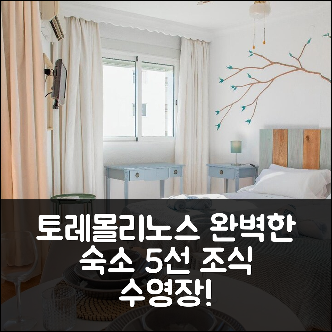 토레몰리노스 숙소 여행 호텔 추천 아파트 팜 비치 카리후에라 | 조식과 수영장 완벽한 5가지 매력
