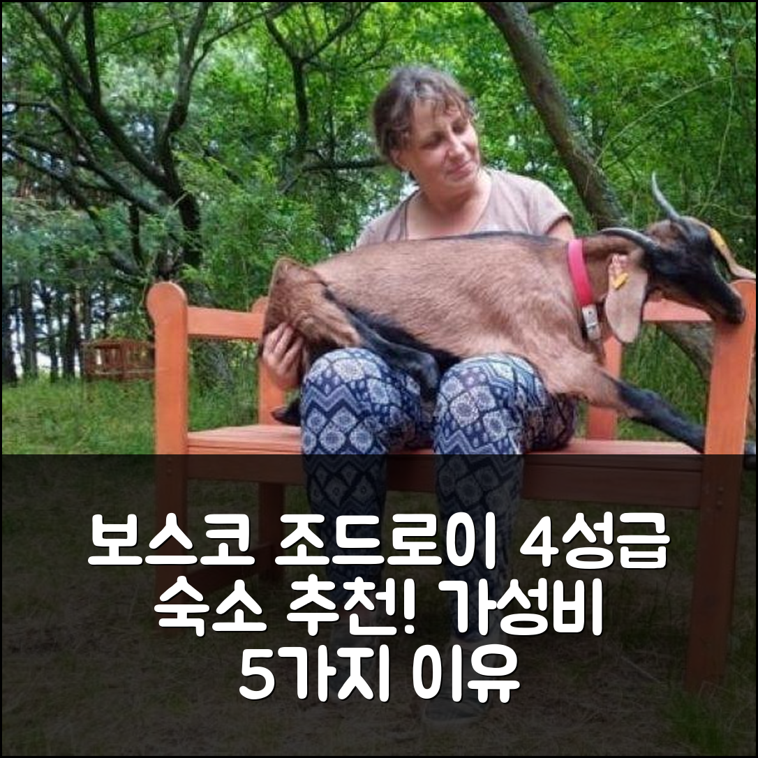 보스코 조드로이 숙소 여행 호텔 추천 시에들리스코 파우자 | 4성급 조식과 가성비 우수한 5가지 이유